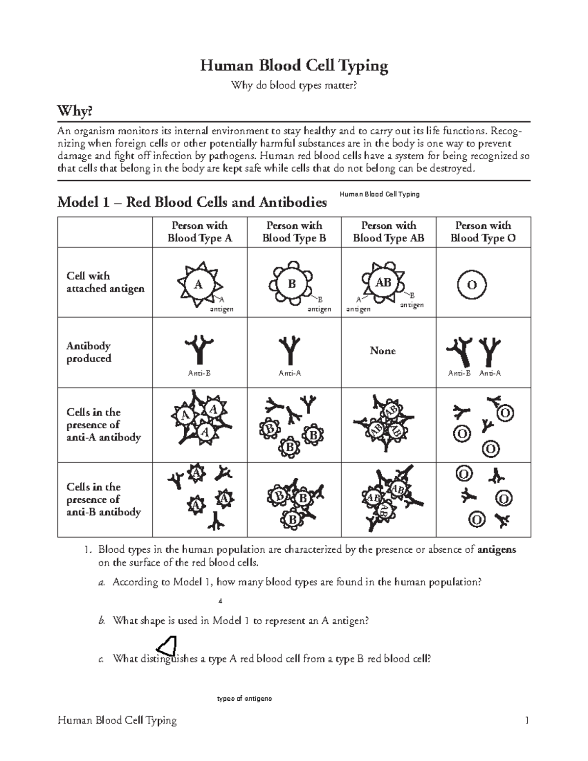 human-blood-typing-human-blood-cell-typing-1-human-blood-cell-typing