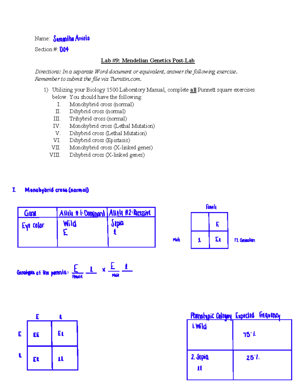 Mendelian+Genetics+Post-Lab - Name: Section #: Lab #9: Mendelian ...