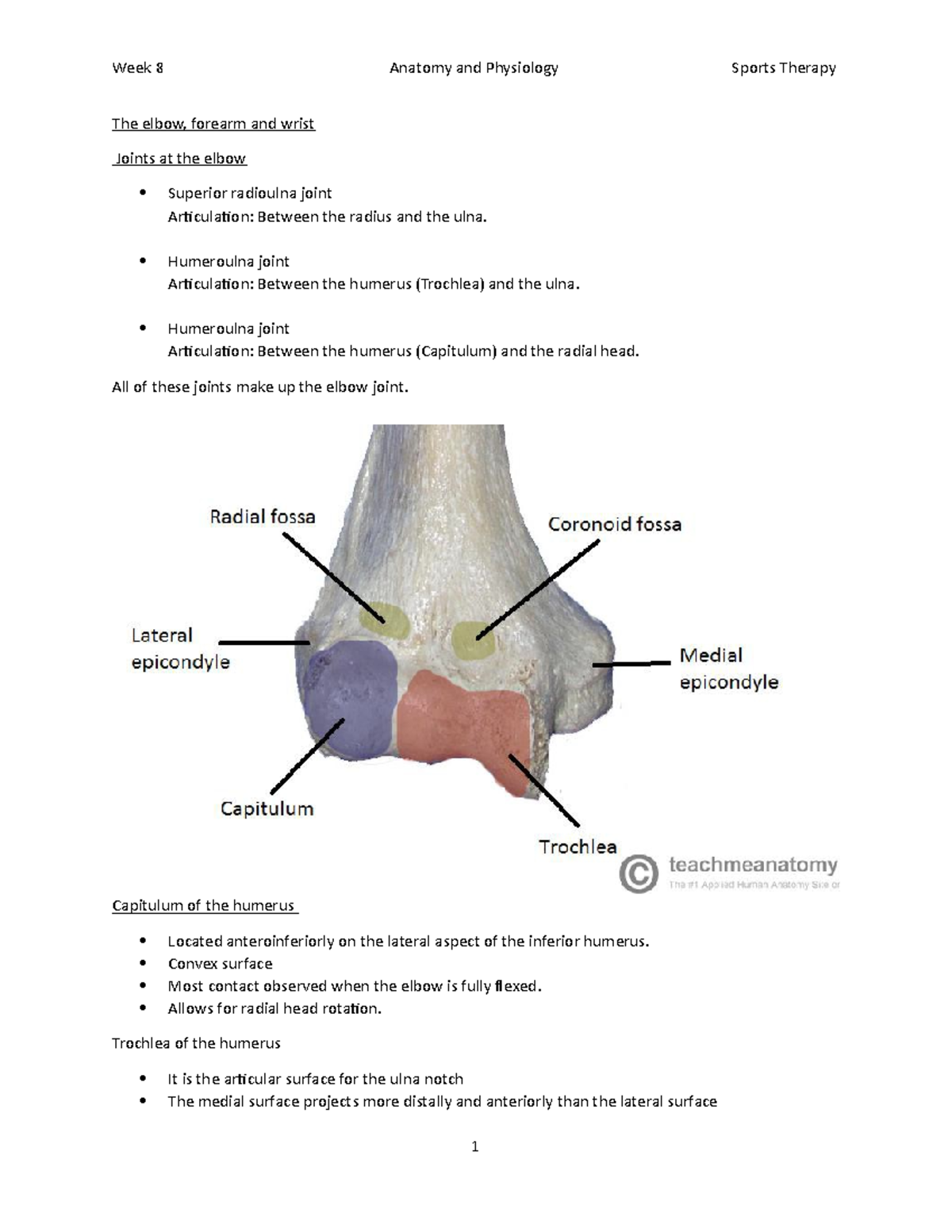 The elbow - Lecture notes 8 - SPT1931 - EdgeHill - StuDocu