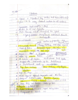 Chapter 11 - ANATOMY AND PHYSIOLOGY PRACTICE QUESTIONS - Chapter 11 ...
