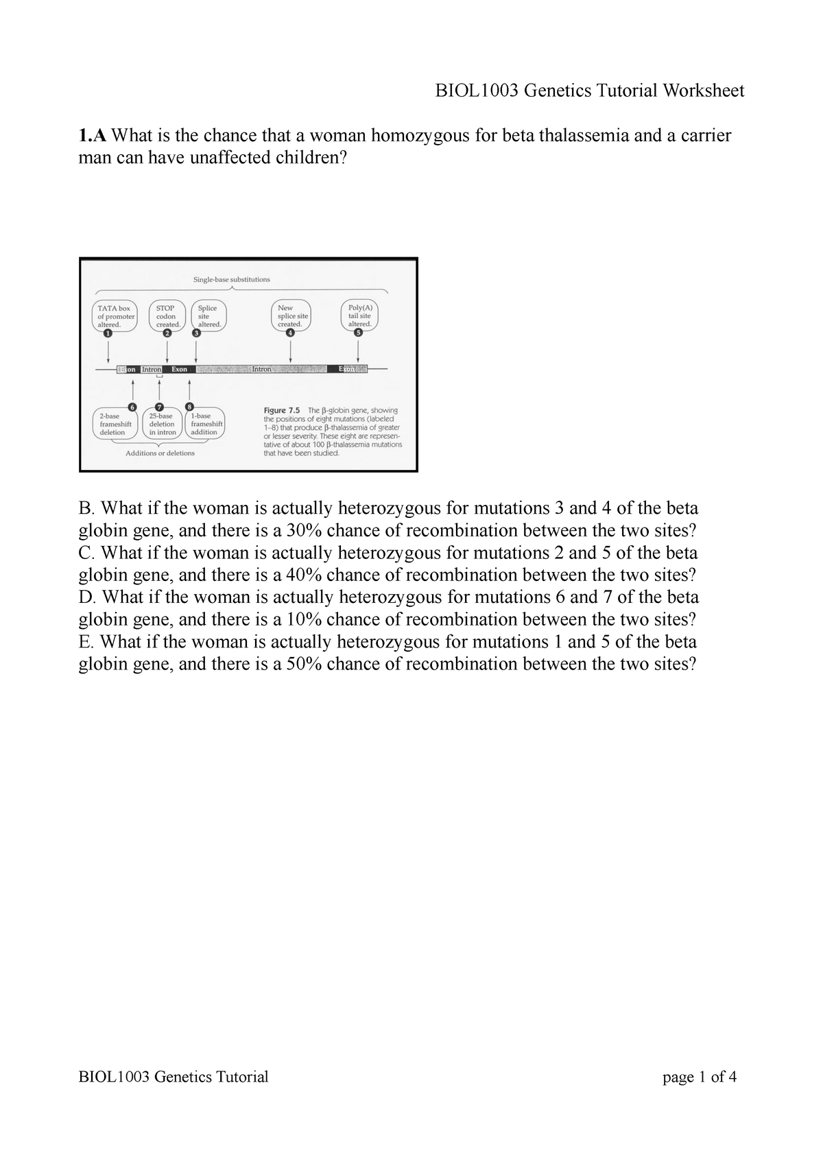 BIOL1003 Genetics Tutorial 2020 - What If The Woman Is Actually ...