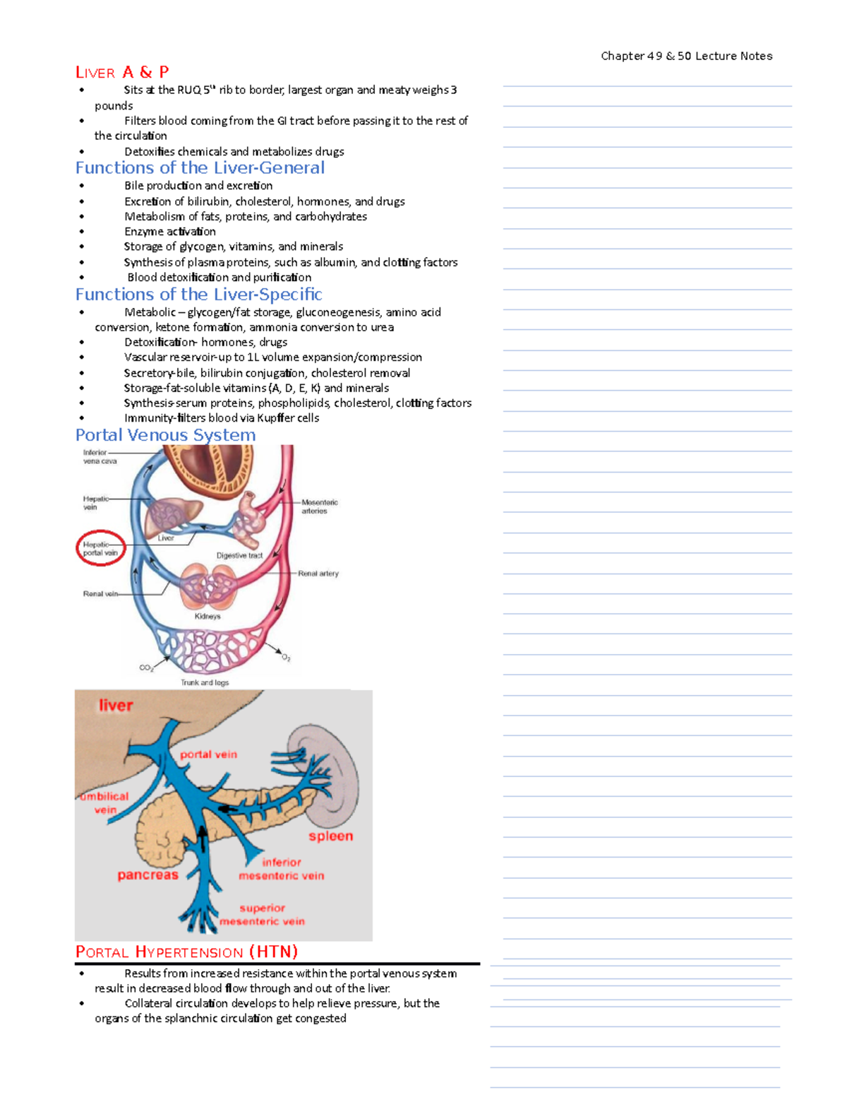 Lecture Notes Hepatic - LIVER A & P Sits at the RUQ 5th rib to border ...