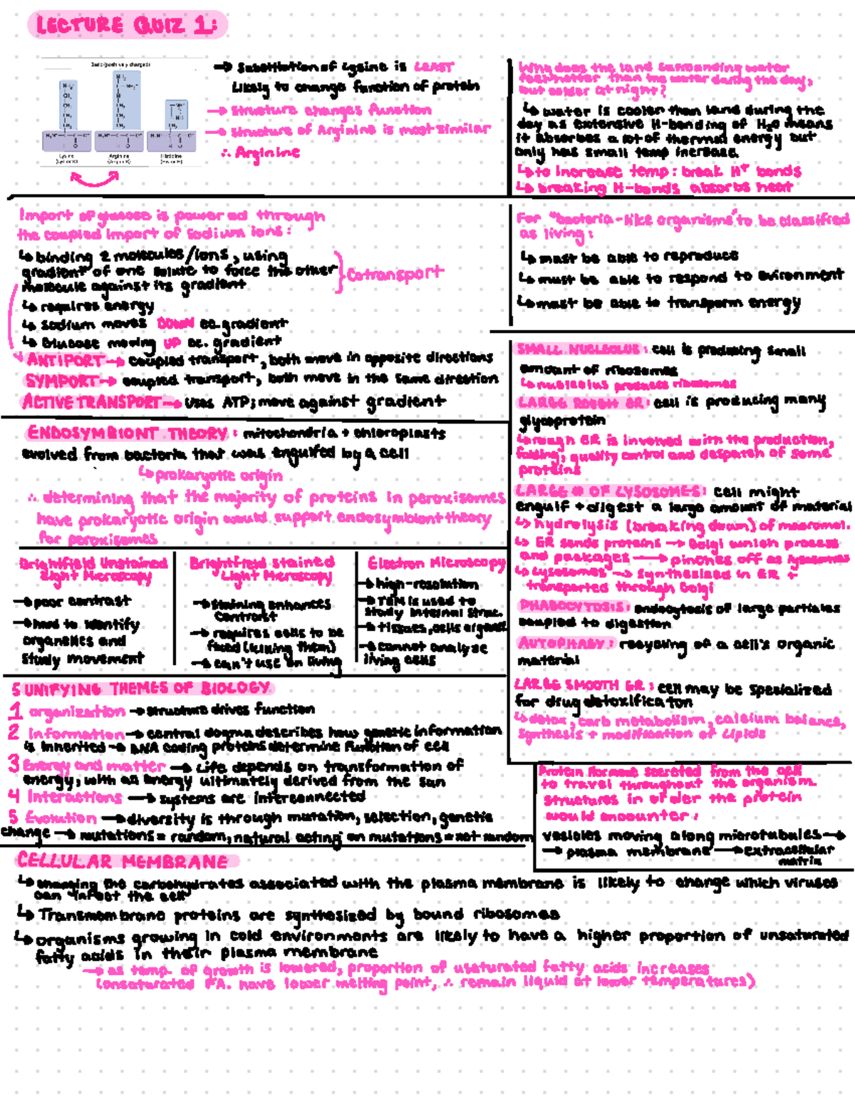 Lecture Quizzes LECTURE QUIZ 1 > substitution of lysine is LEAST