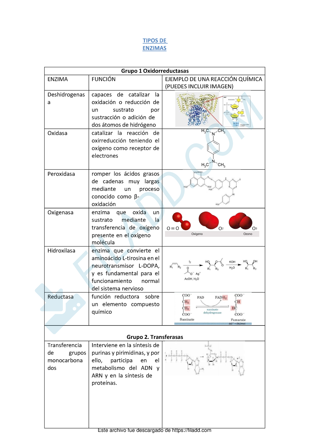 Tipos De Enzimas Organized Tipos De Enzimas Grupo 1 Oxidorreductasas