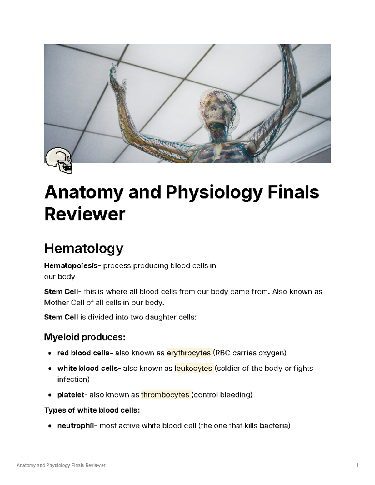 Anatomy and Physiology Finals Reviewer 31eb50d23ed94737 b2f0ba93783 ...