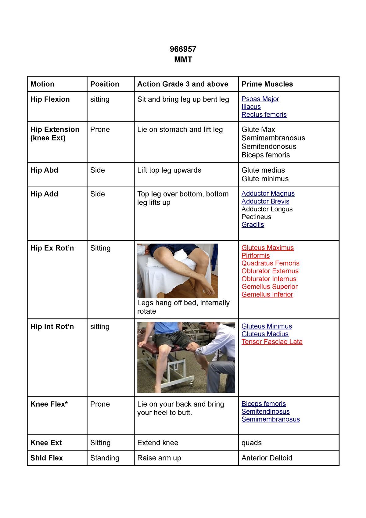 mmt-manual-muscle-testing-966957-mmt-motion-position-action-grade-3