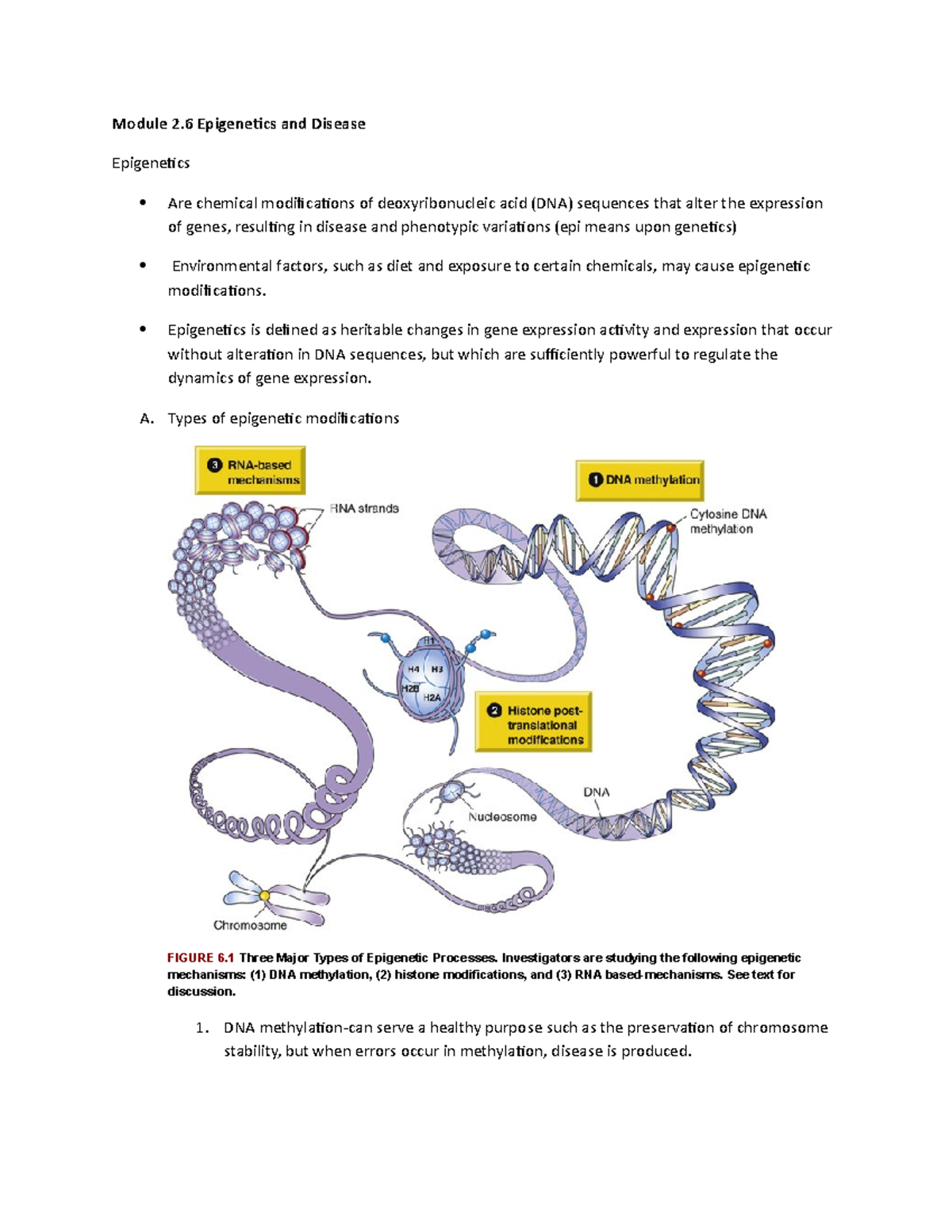 Module 2.6 Content Notes Epigenetics And Disease 2021 - Module 2 ...