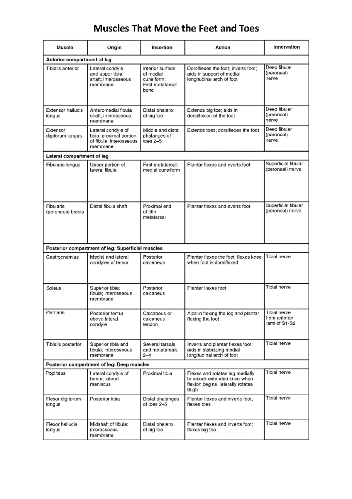Muscles That Move the Feet and Toes ORIGIN INSERTION ACTION INERVATION ...