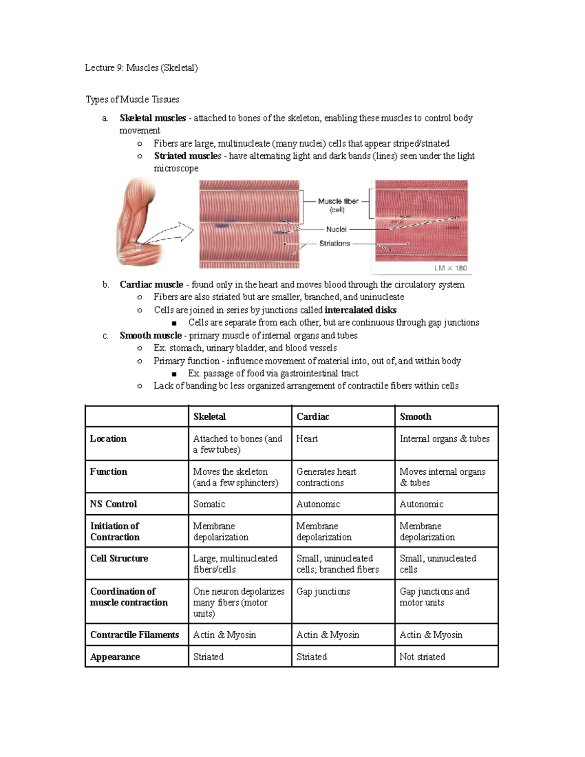 BIO 203 Lecture 9 Muscles - PSY 103 - Introduction To Psychology - SBU ...