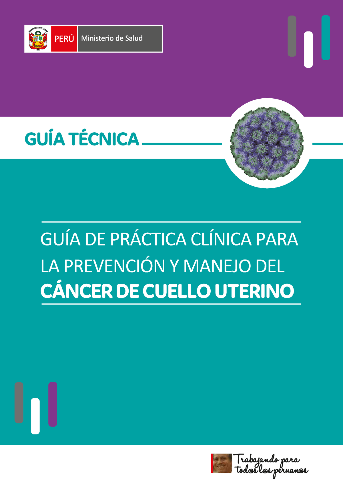 Guia Tecnica De Cancer De Cuello Uterino GuÍa TÉcnica GuÍa De PrÁctica ClÍnica Para La 1678