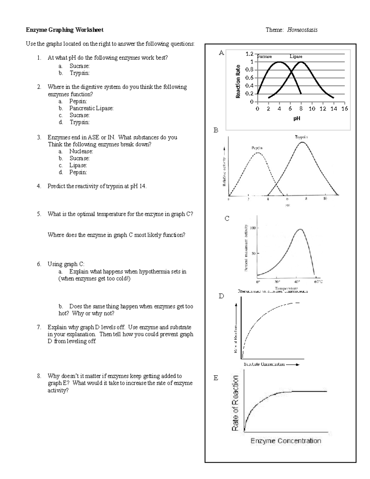 Enzyme Graphing Worksheet - At what pH do the following enzymes work ...