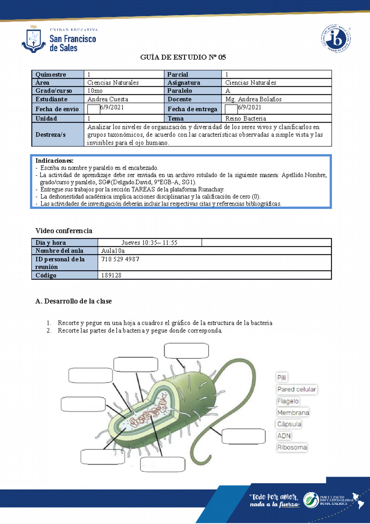 DE MUSEO - Lámpara de plasma Ideal para fiestas, dormitorio o regalo.  Sabías que también esteriliza y purifica el aire, mata las bacterias,  activa las moléculas de oxígeno para que se absorban