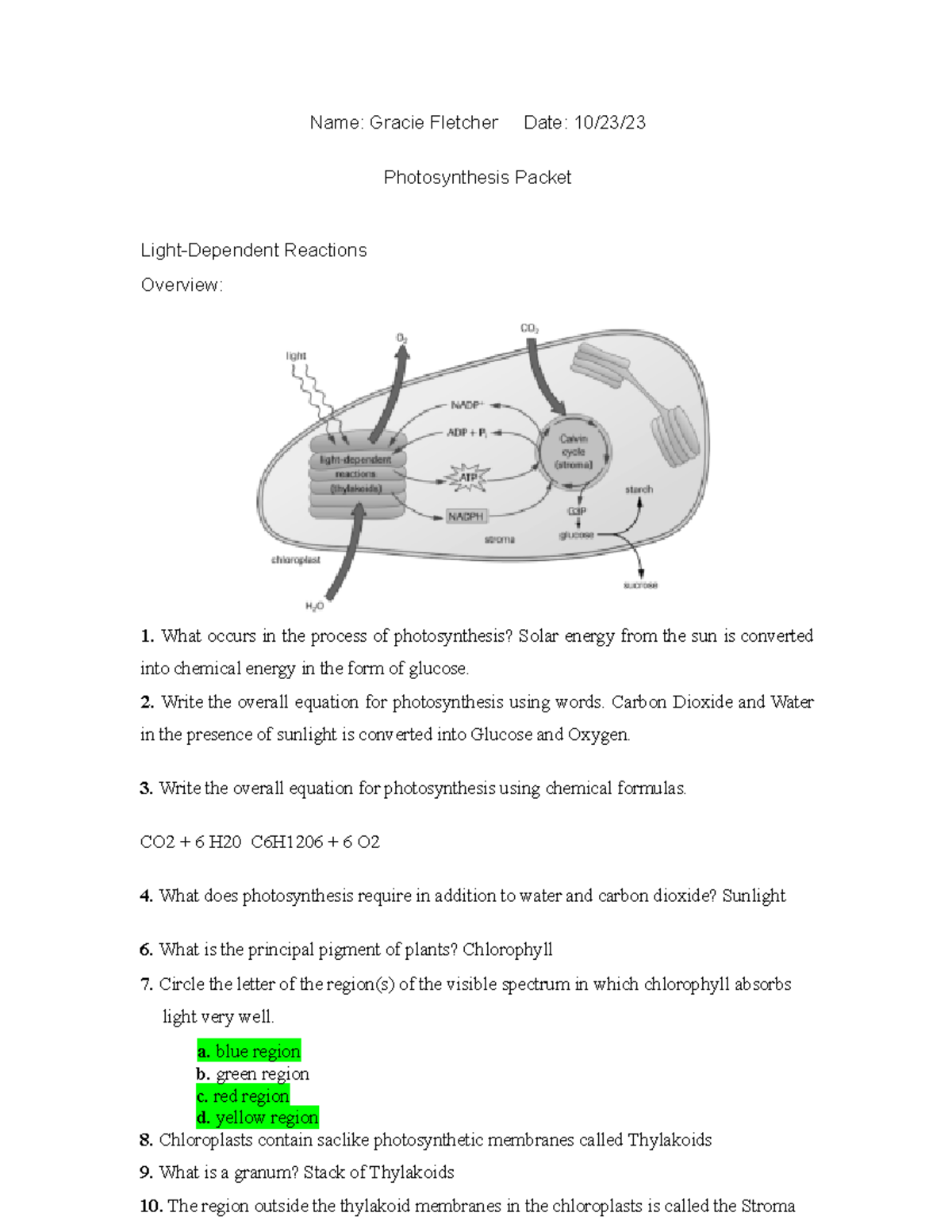 Photosynthesis packet - Name: Gracie Fletcher Date: 10/23 ...