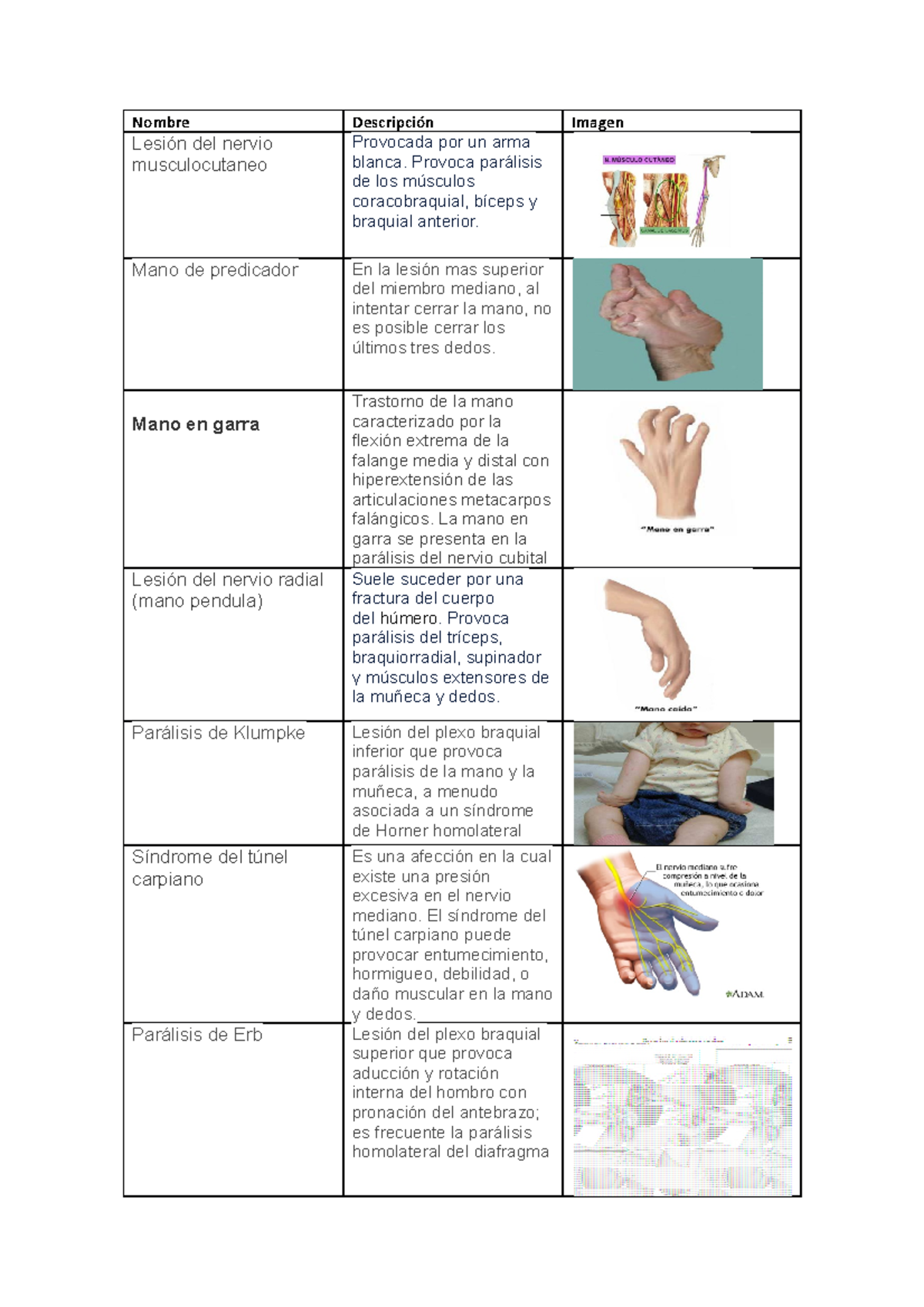 lesión del nervio musculocutáneo