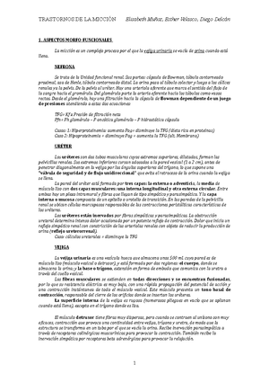 20)- Manual DE Contabilidad Armonizada - LOS MUNICIPIOS DE OAXACA ...