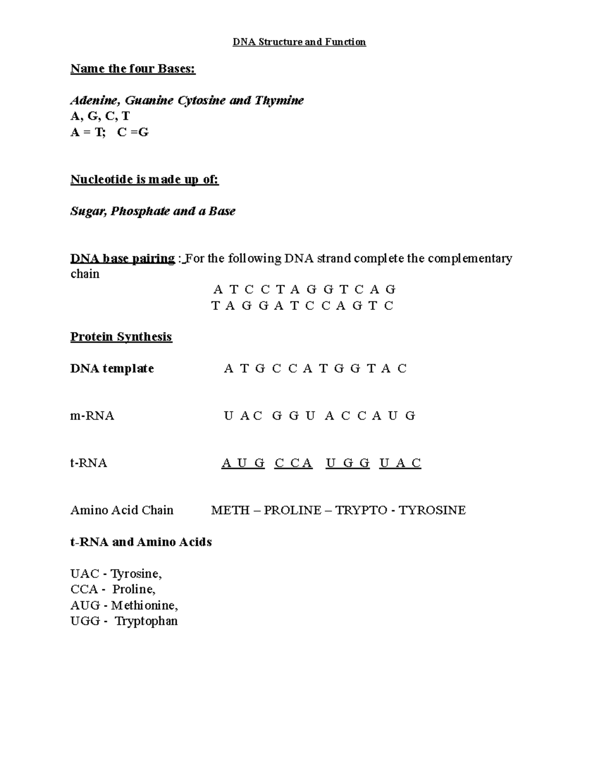 Protein Synthesis Practice Exercise For Midterm 1 Dna Structure And Function Name The Four 5755