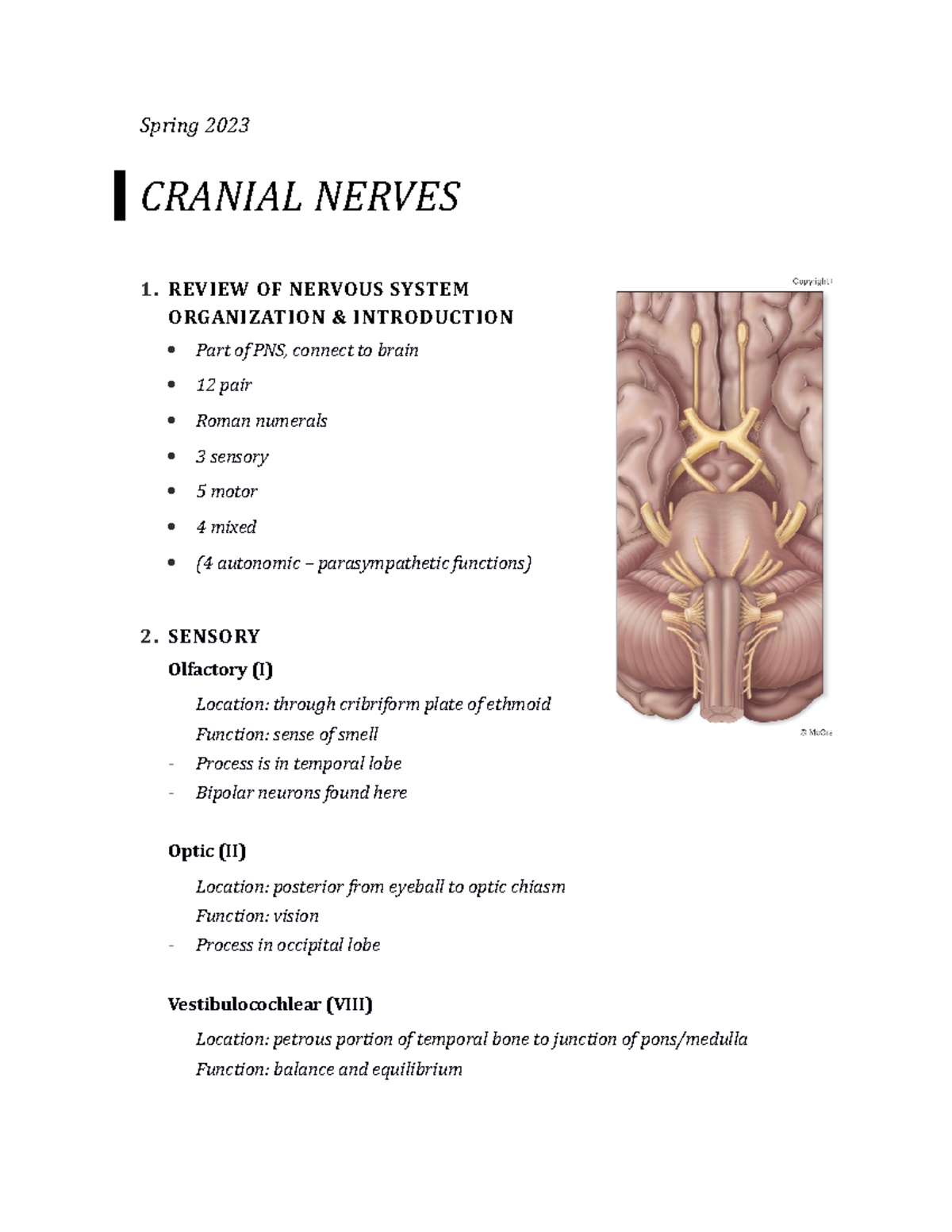 Cranial Nerves notes student S2023 - Spring 2023 CRANIAL NERVES 1 ...