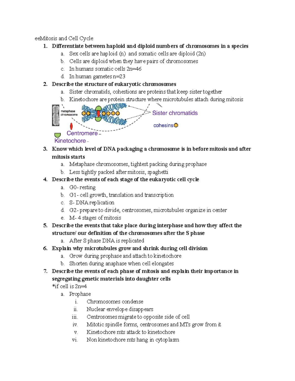 Bio Exam 2 study guide - eeMitosis and Cell Cycle 1. Differentiate ...