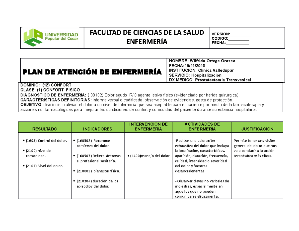 plan de cuidado enfermero para dolor - FACULTAD DE CIENCIAS DE LA SALUD
