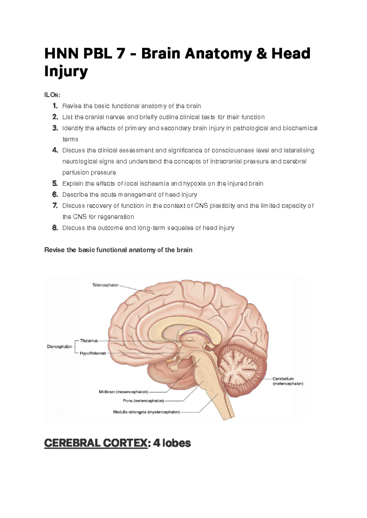 Brain Anatomy And Head Injury - H N N P B L 7 - B Ra I N A N A To My ...