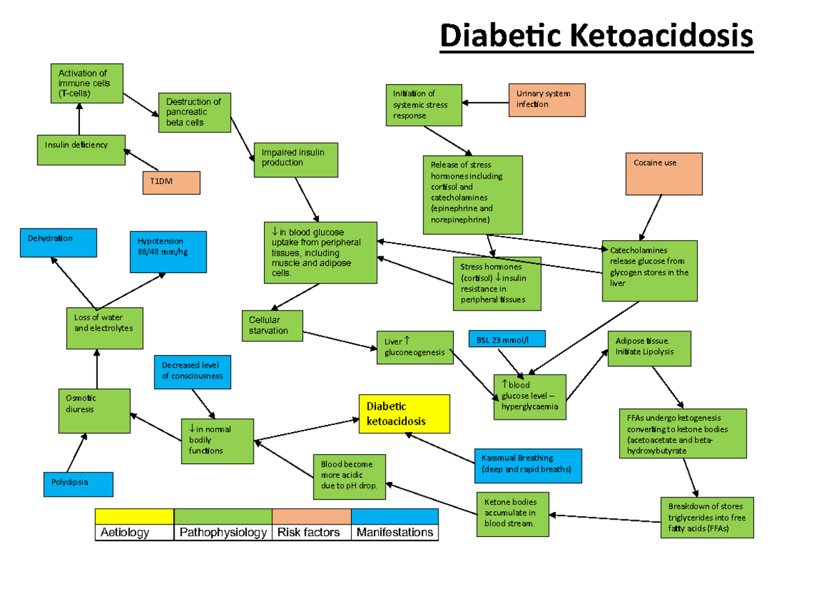 Concept Map Diabetic Ketoacidosis Aetiology Pathophysiology Risk Factors Manifestations