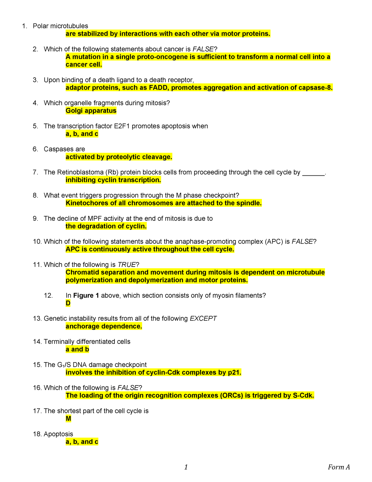 Exam 4 Summer 2015 Answers Biology 202 Cell Biology Studocu - 