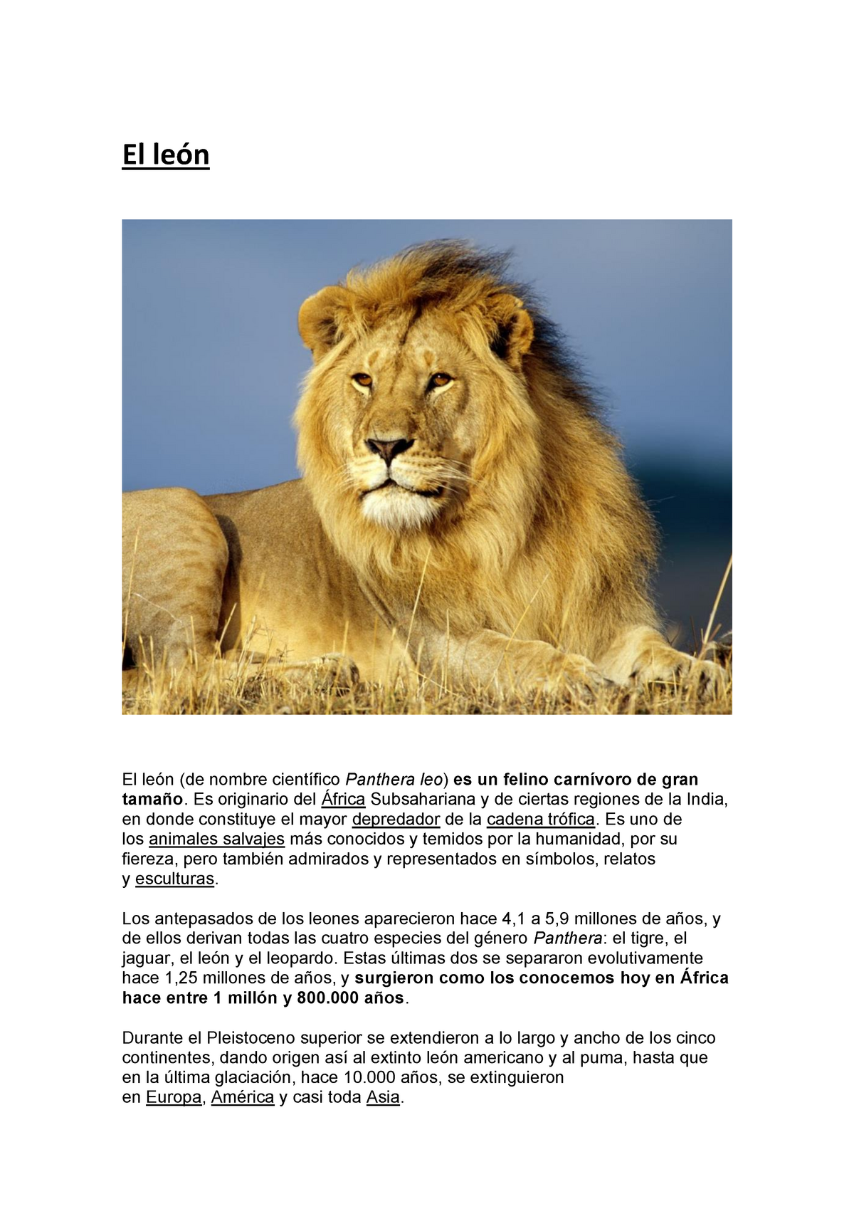 El león - Resumen sobre el animal león - El león El león (de nombre  científico Panthera leo ) es un - Studocu
