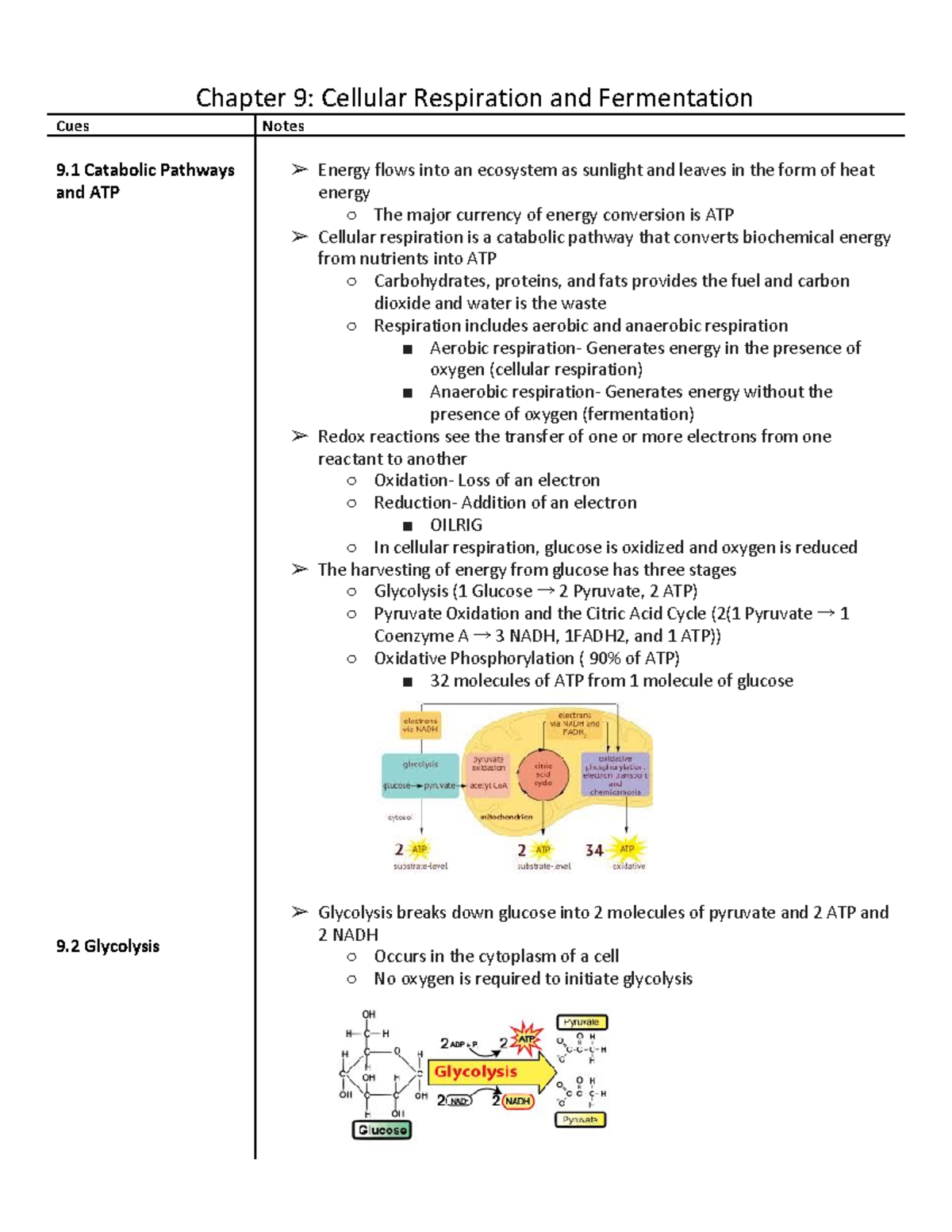 Biology Chapter 9 - Lecture Notes For Bio 2 - Chapter 9: Cellular ...