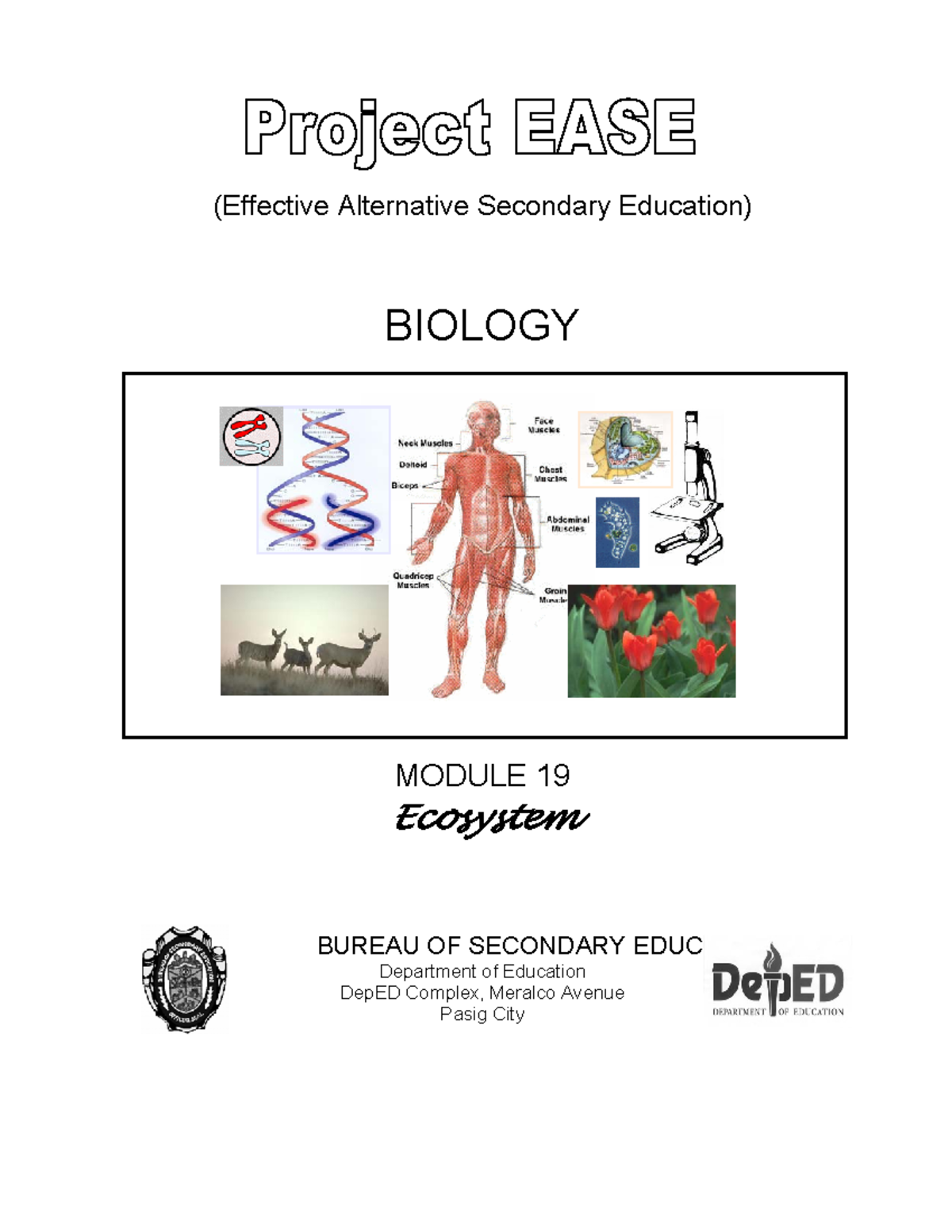 Biology Ecosystem Module 19 - (Effective Alternative Secondary ...