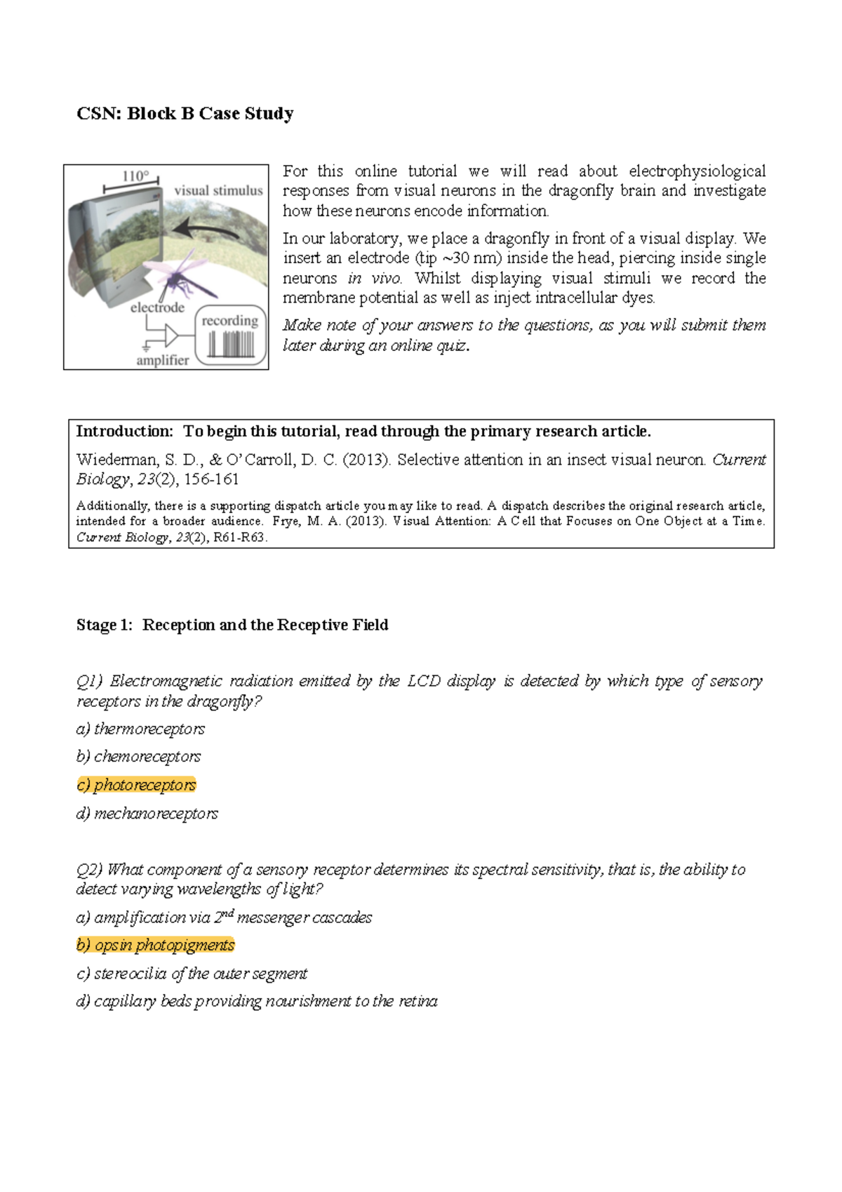 Block B Case Study - CSN: Block B Case Study For This Online Tutorial ...