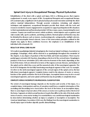 The Occupational Therapy Process In Physical Dysfunction Therapeutic