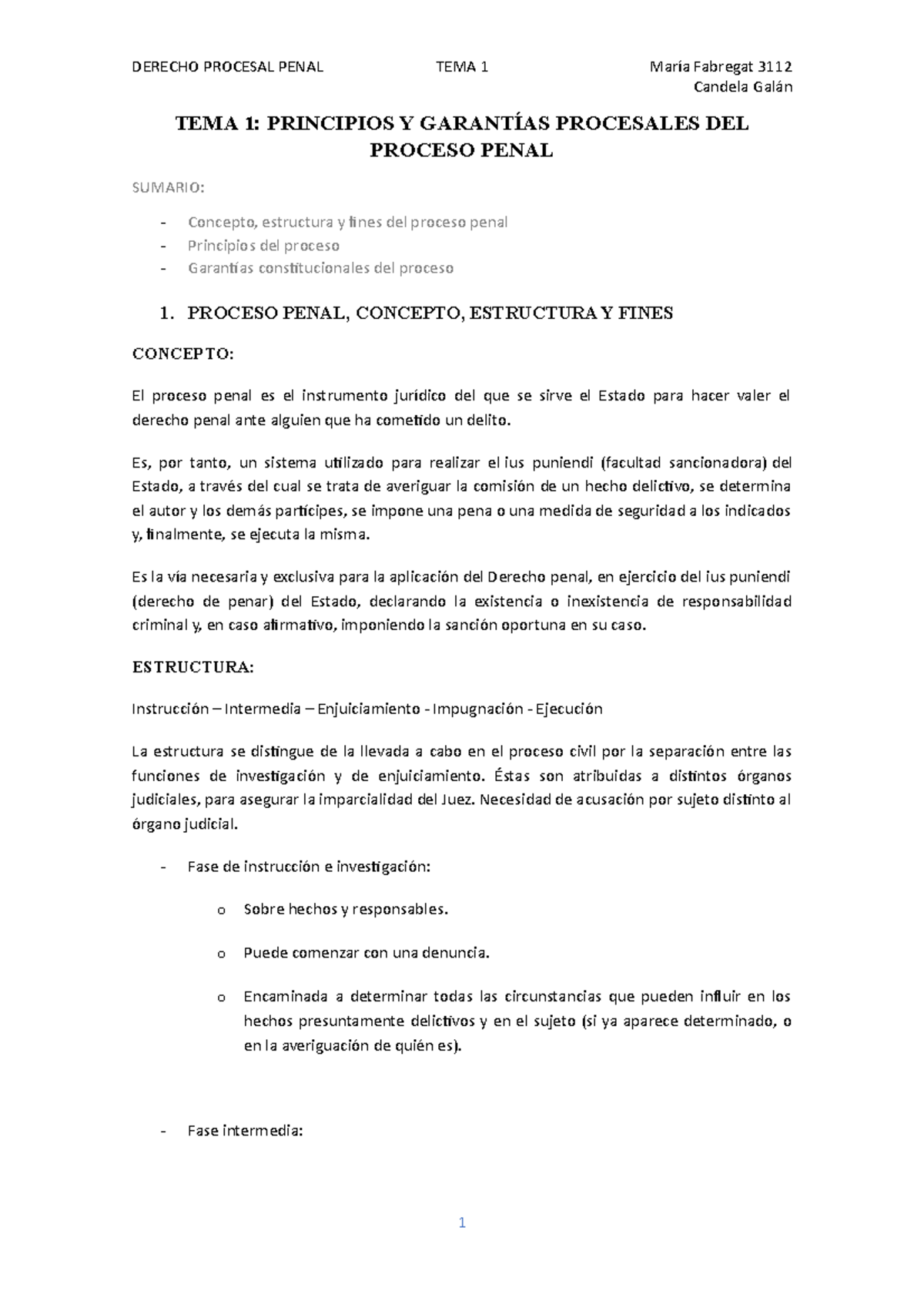 TEMA 1 - Proce Penal - Principios Y Garantías Procesales DEL Proceso ...