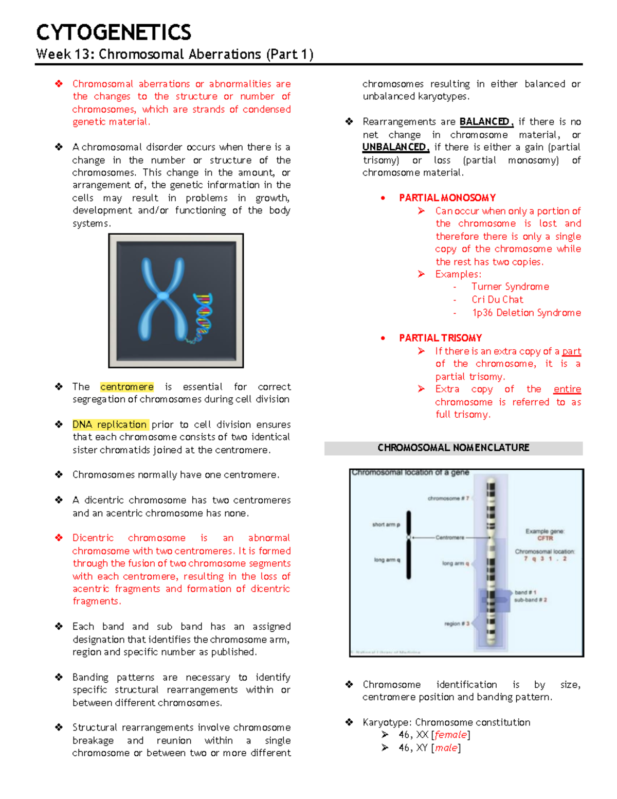 Chromosomal Aberrations (Part 1) - A Chromosomal Disorder Occurs When ...