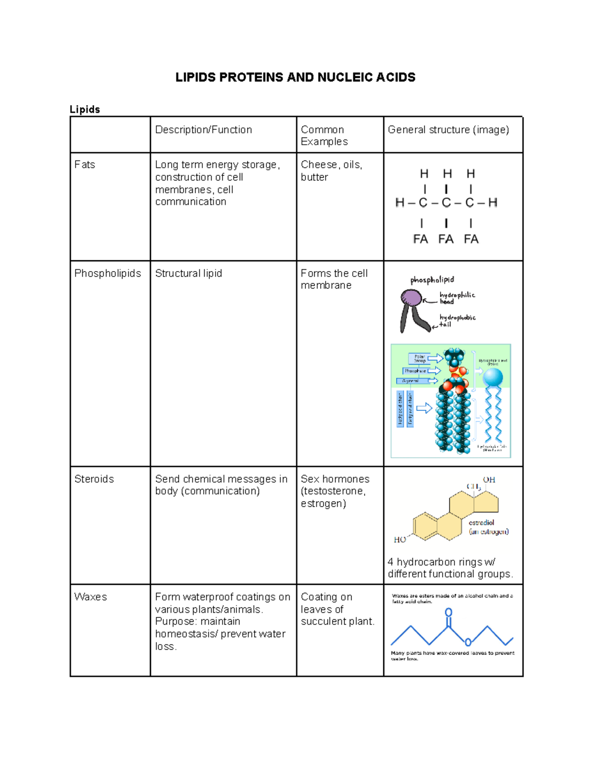 Lipids Proteins and Nucleic Acids Note Grade 12 University Biology LIPIDS PROTEINS AND NUCLEIC