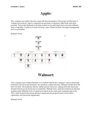 Management Process Chapter 1 - What is Management? The planning ...