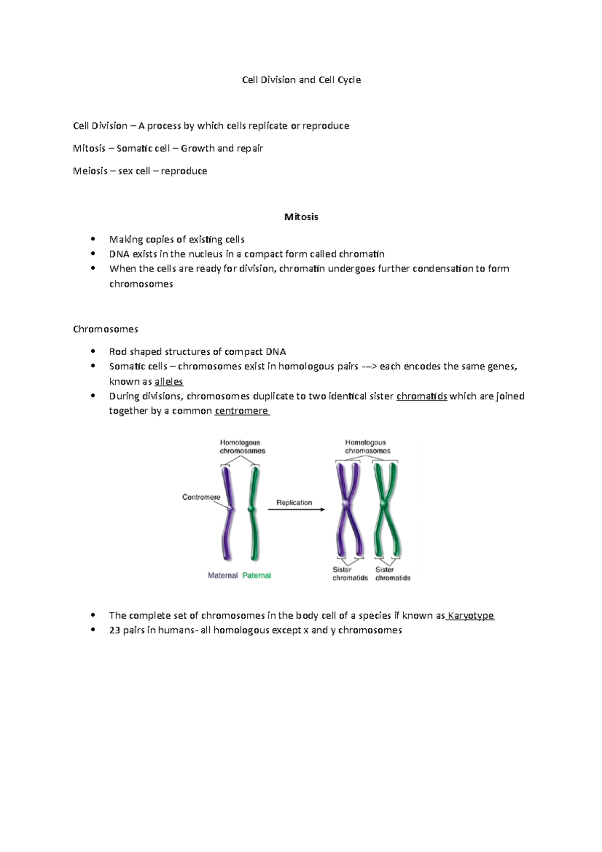 Cell Division and Cell Cycle - Studocu