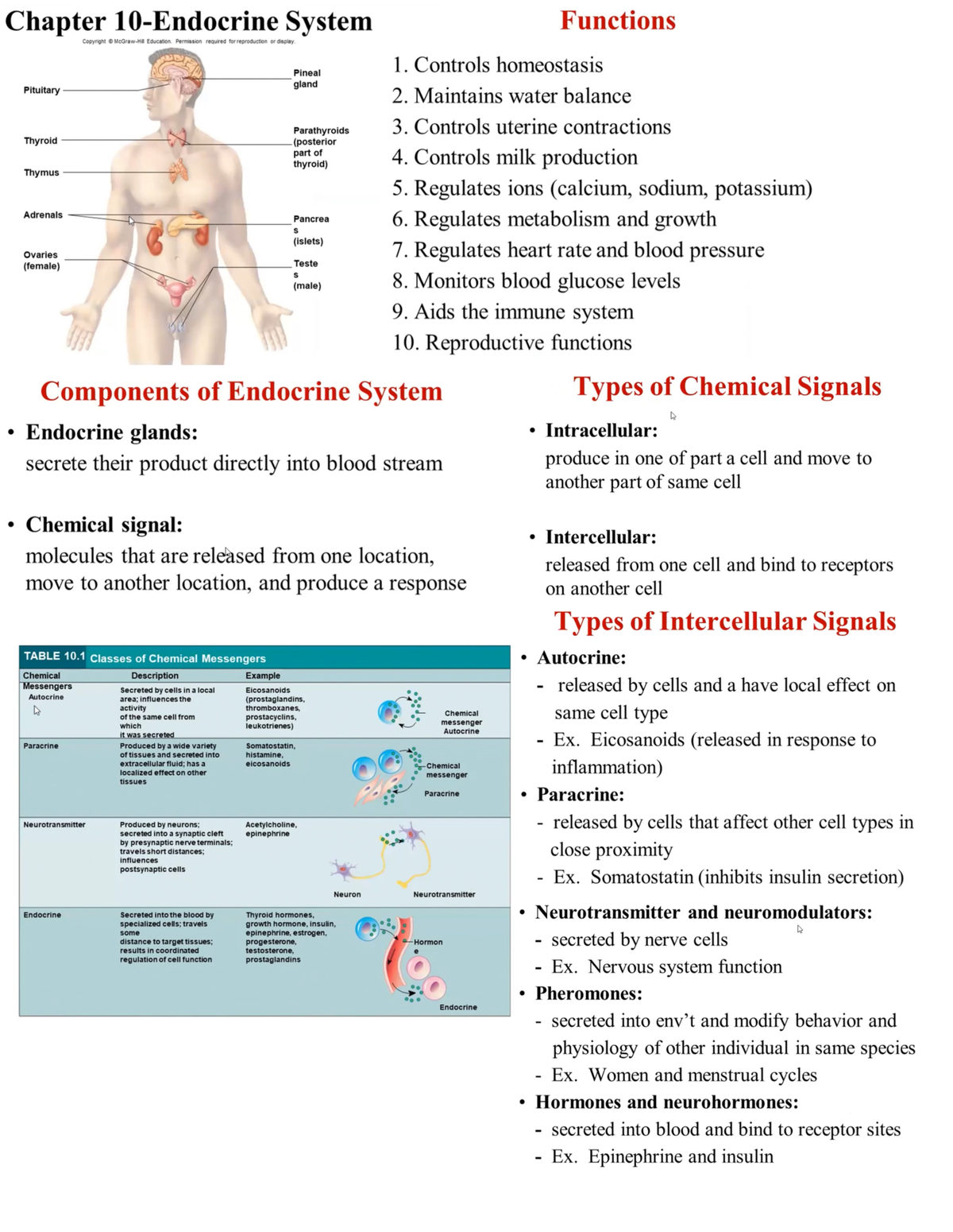 Endocrine System - Nursing - Studocu