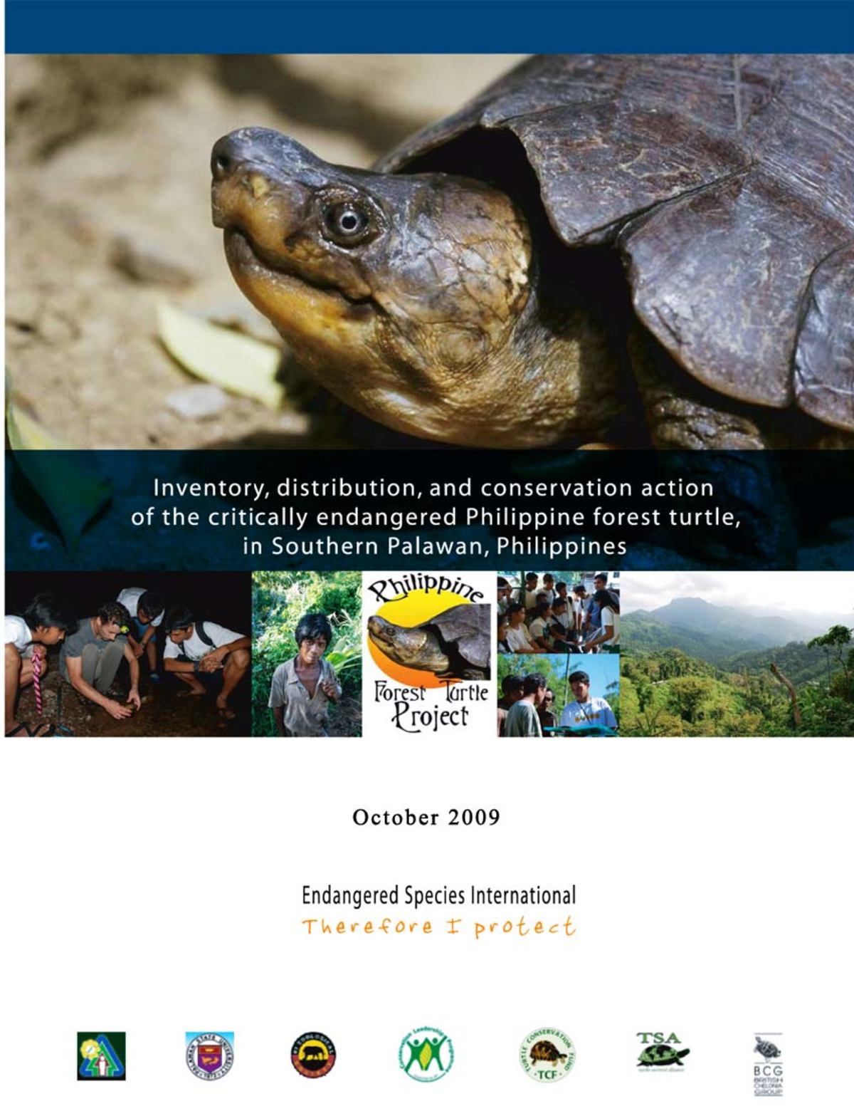 001506 Turtle Philippines - REPORT Inventory, Distribution, and ...