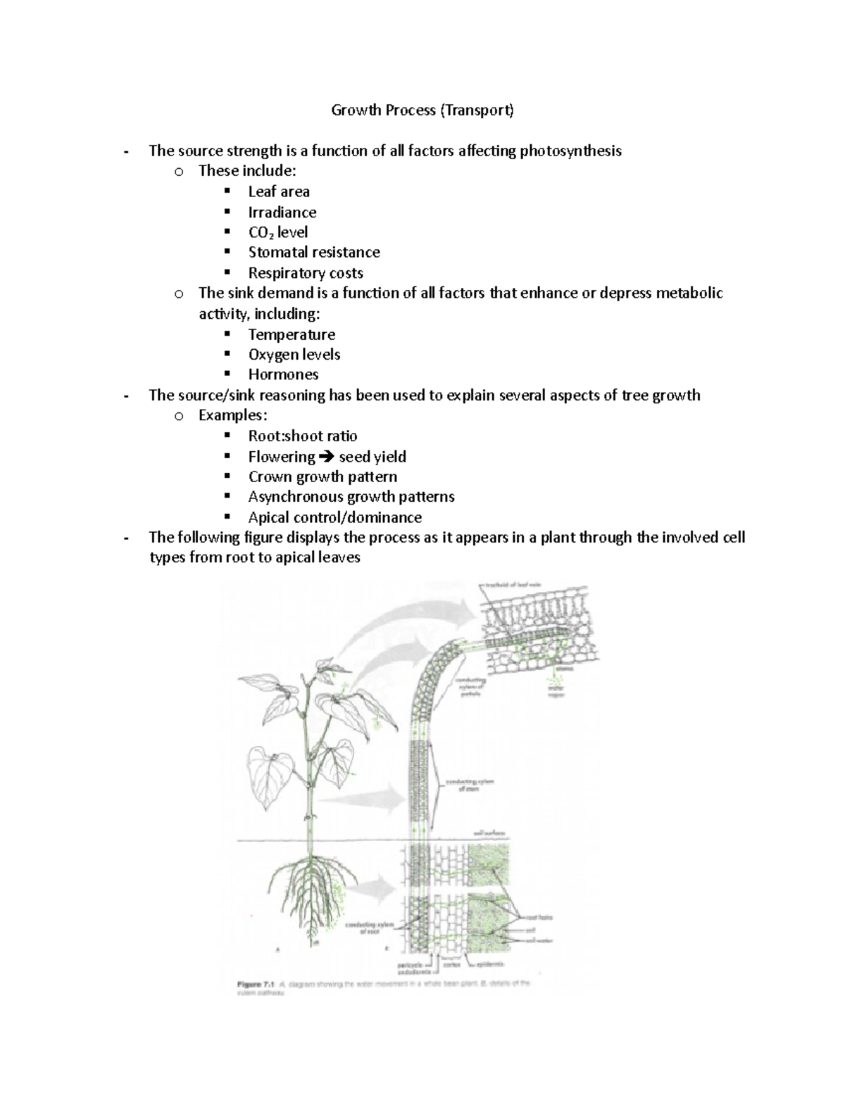 Growth Process - Studocu