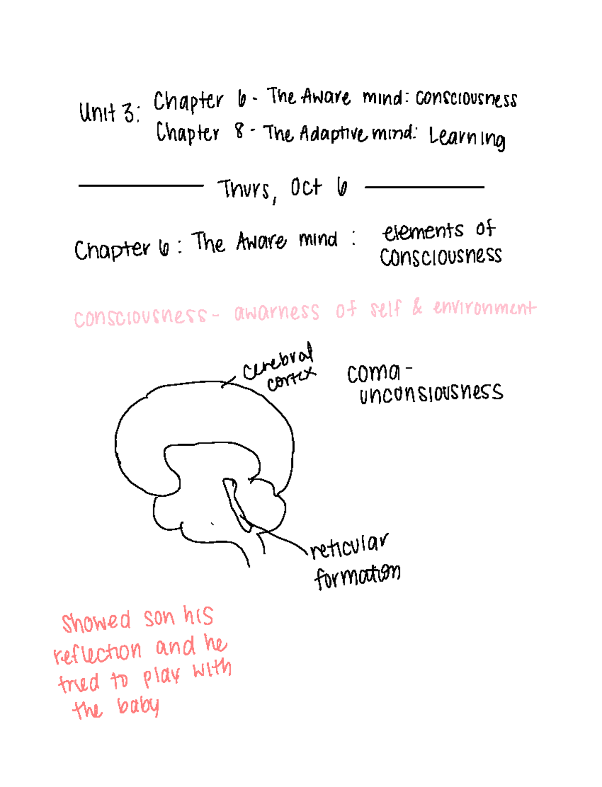 Notability - notes with Dr. Dustin Elliot Unit 3 chapter 6- the aware ...