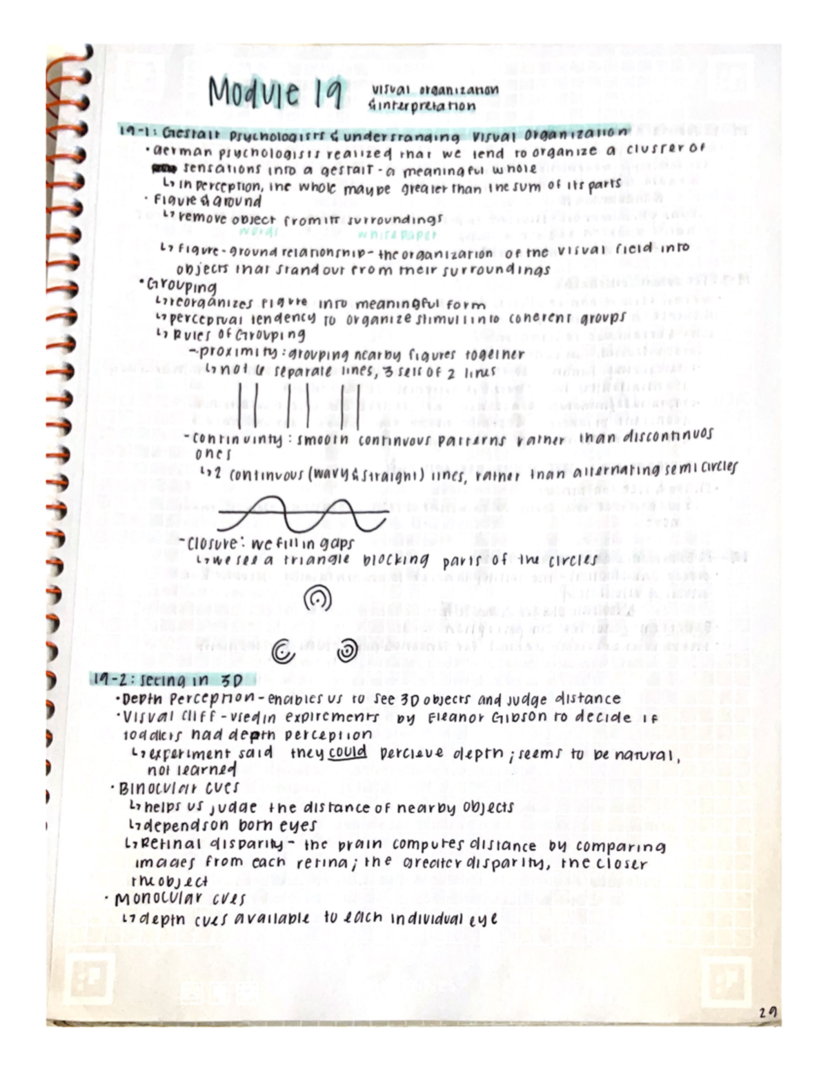 AP Psychology Module 19 - Visual Organization And Interpretation ...