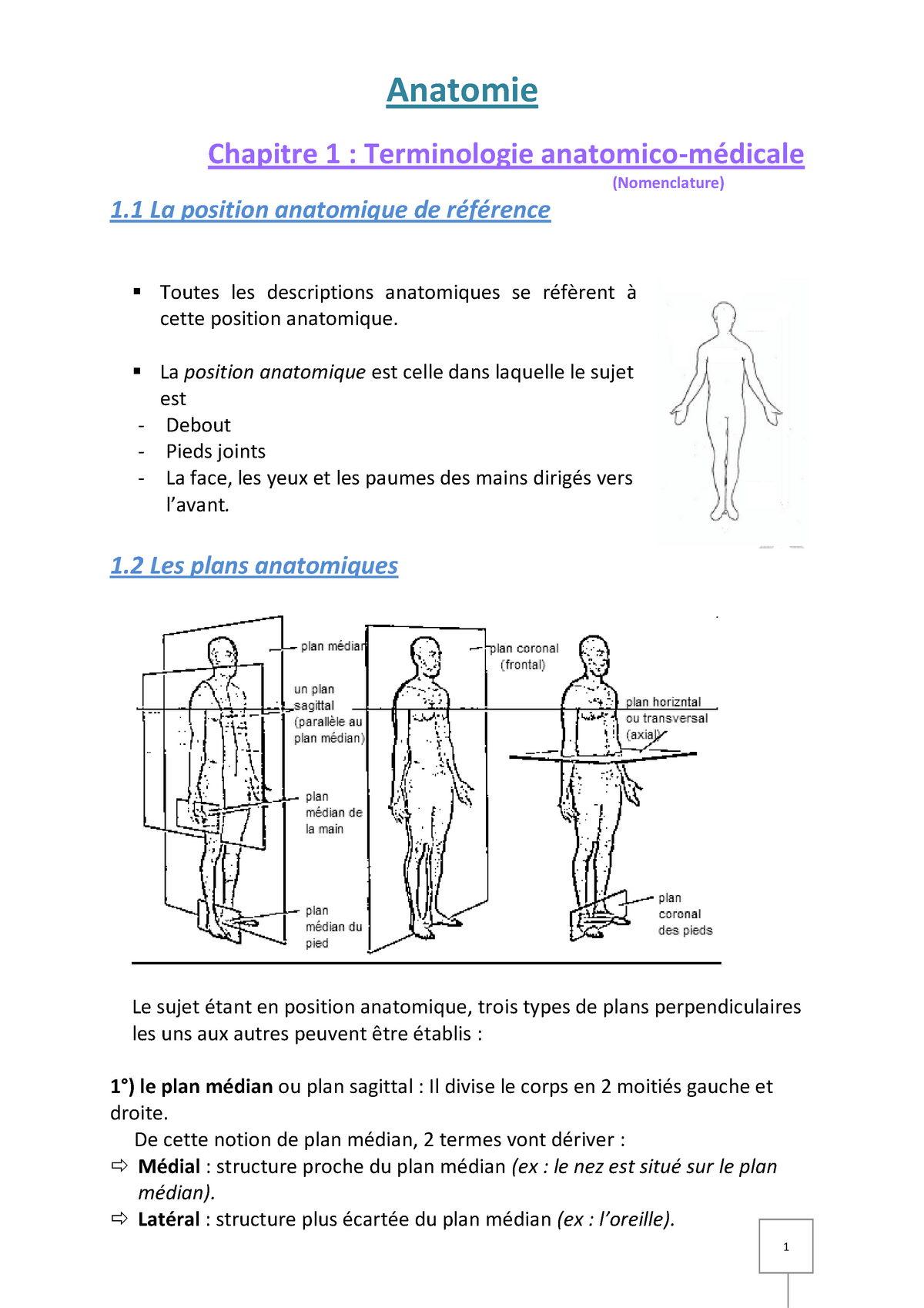 Anatomie Partie 1 - Anatomie Chapitre 1 : Terminologie Anatomico ...