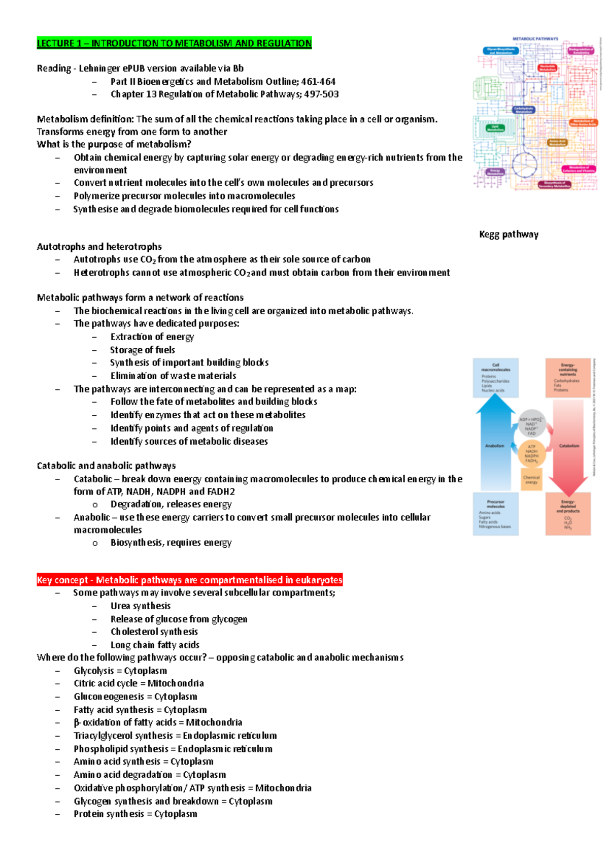 Lecture 1- Introduction TO Metabolism AND Regulation - LECTURE 1 ...