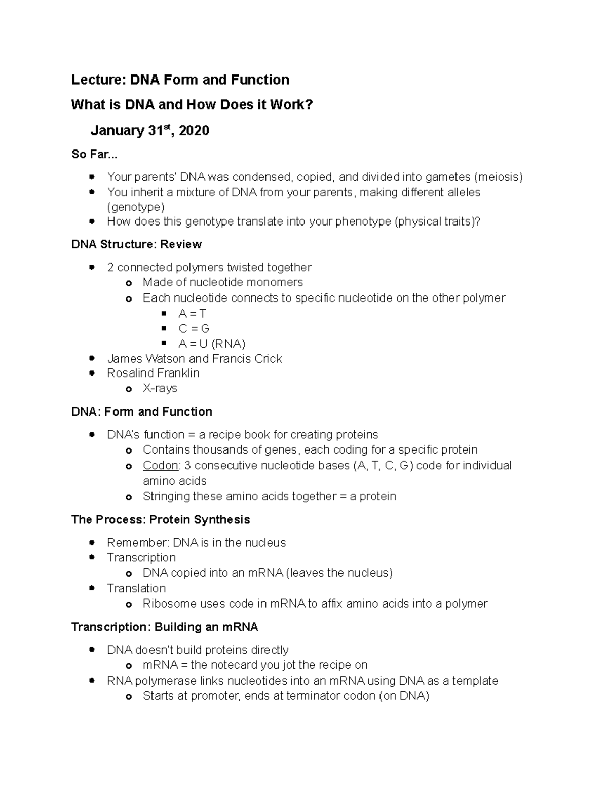 Dna Form And Function Lecture Lecture DNA Form And Function What Is 