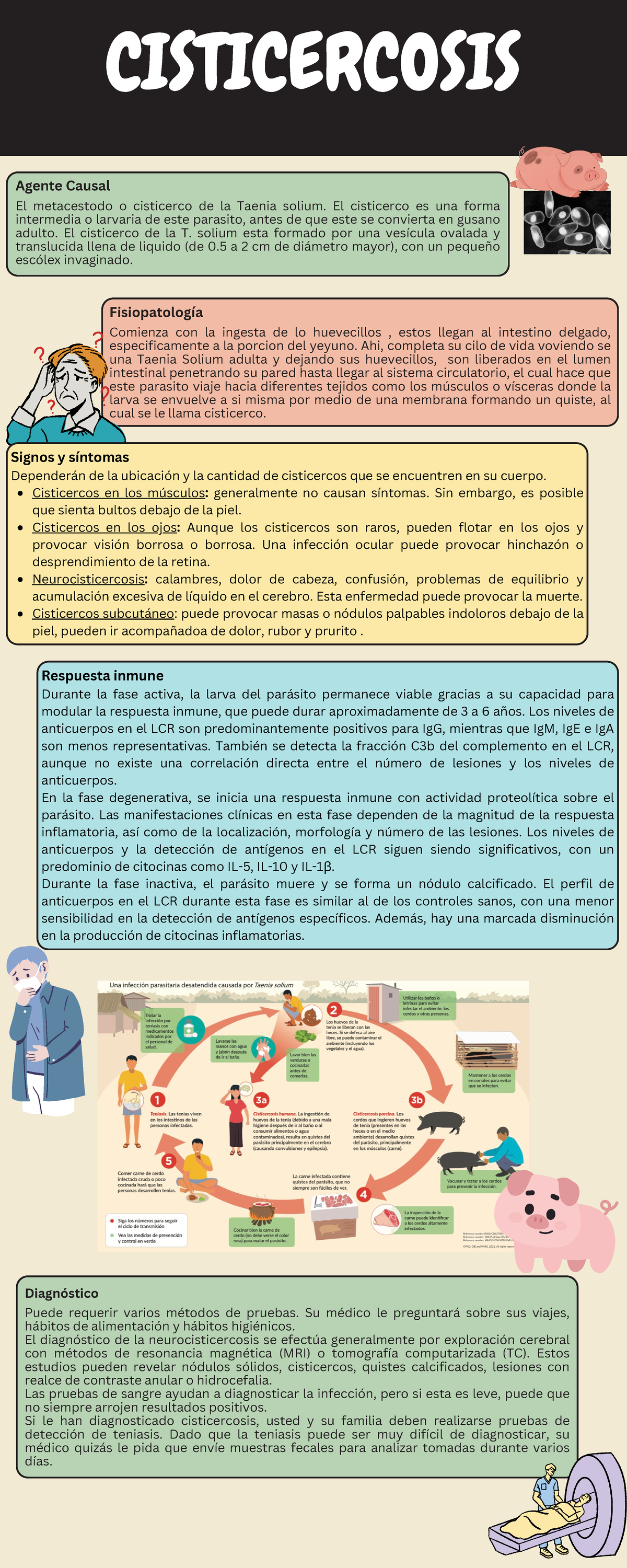 Cisticercosis - Signos y síntomas Dependerán de la ubicación y la ...