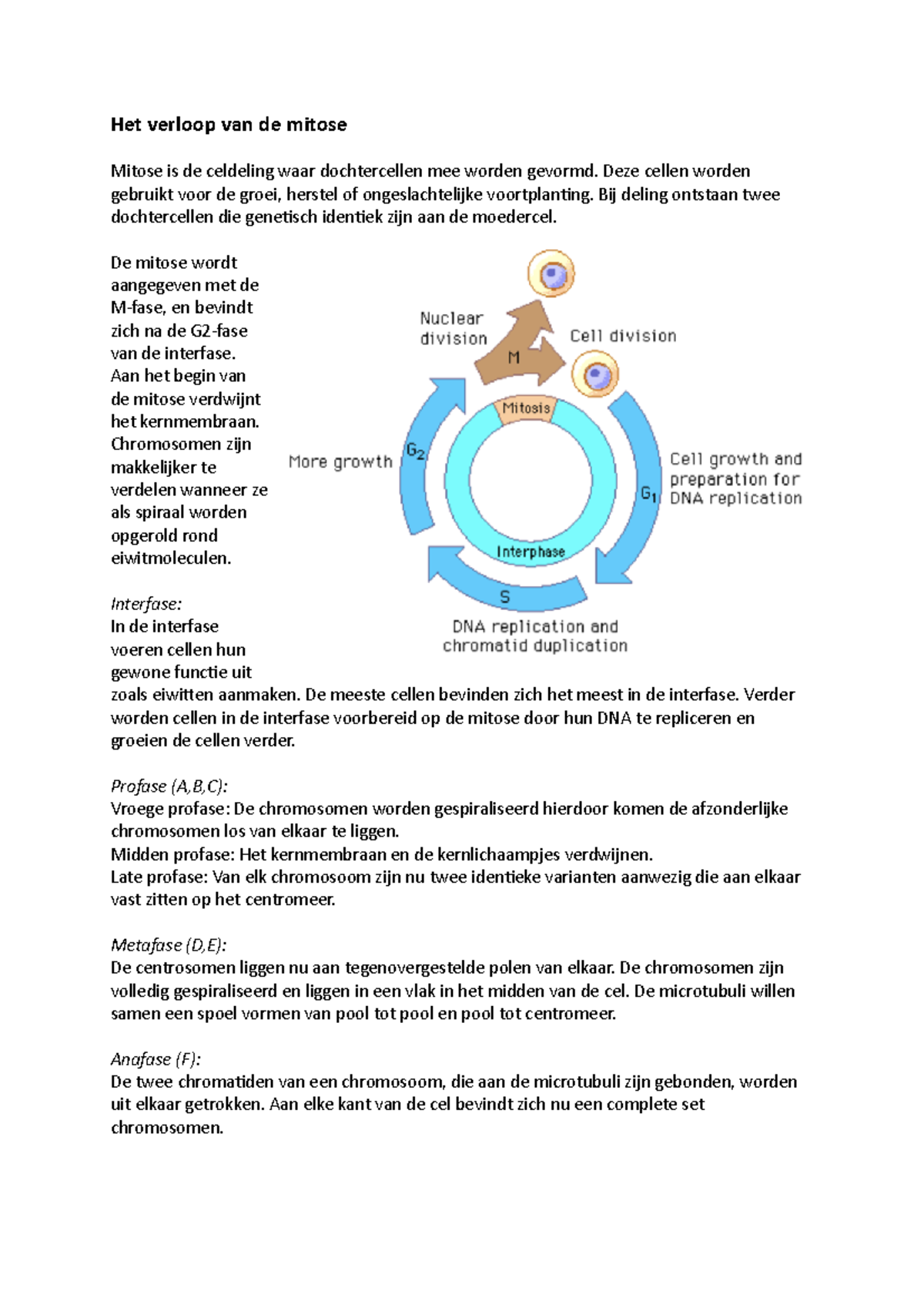 Probleemtaak 3 Taxol Het Verloop Van De Mitose Mitose Is De