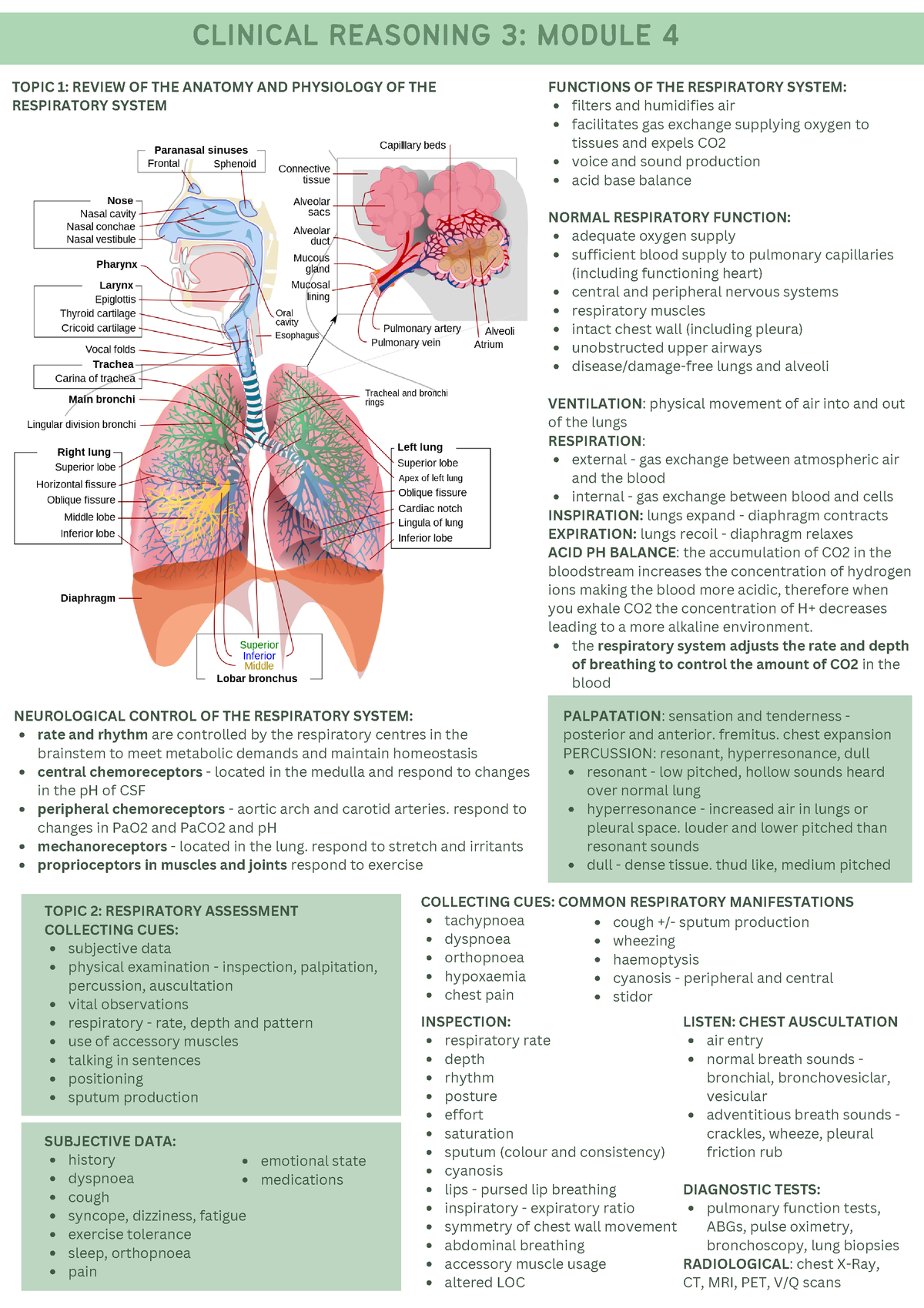 Module 4 - TOPIC 1: REVIEW OF THE ANATOMY AND PHYSIOLOGY OF THE ...