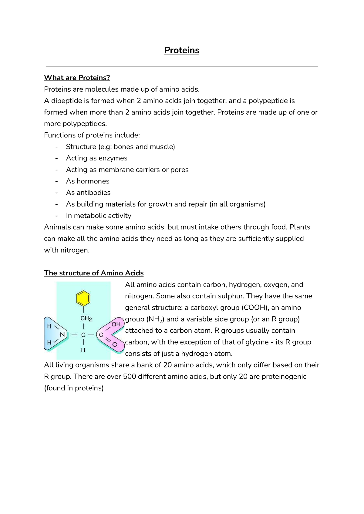 a level biology essay proteins