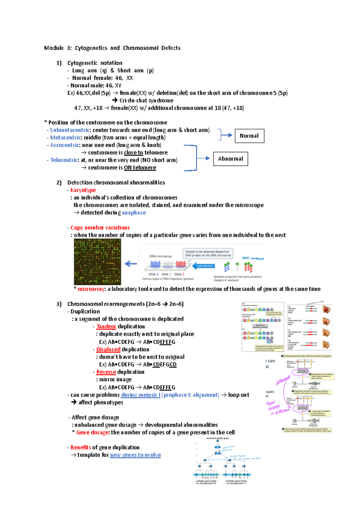 Module 3 Notes - Module 3: Cytogenetics and Chromosomal Defects 1 ...