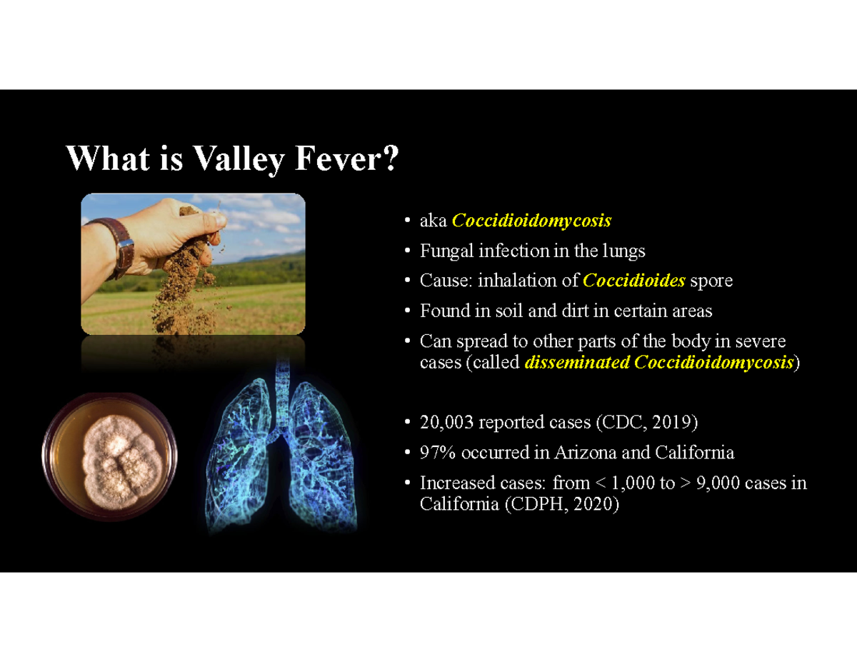 Valley Fever What Is Valley Fever Aka Coccidioidomycosis Fungal 